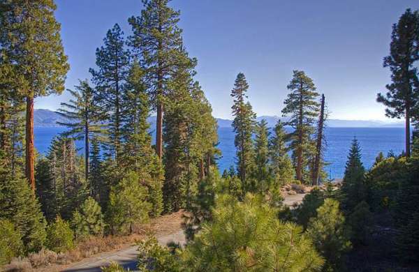 Fantastic Lake View At Tahoe Vista – Great Price!